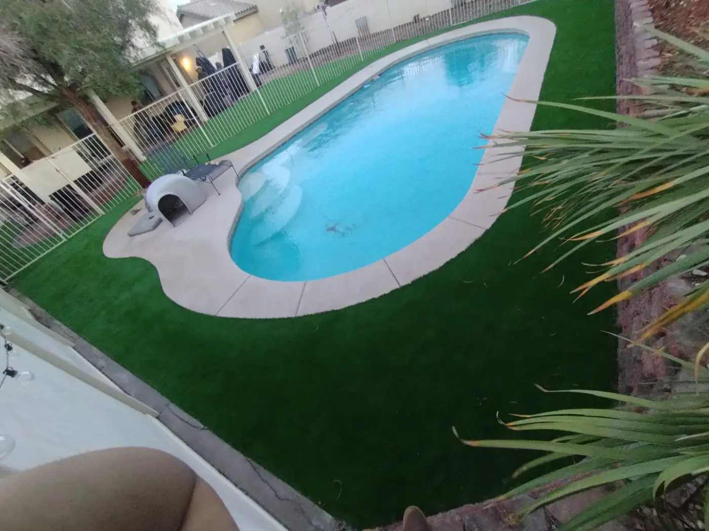 Artificial Turf project in Las Vegas by Pure Turf & Hardscape
