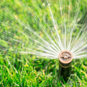 automatic sprinkler watering fresh lawn